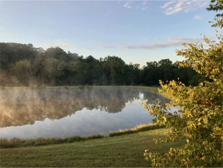 Misty morning lake, serene landscape.