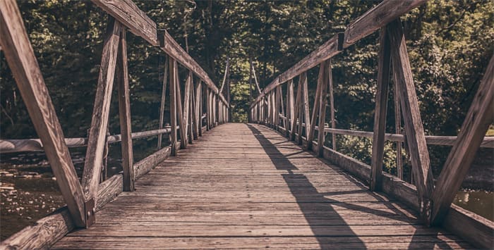 Wooden bridge path through trees.