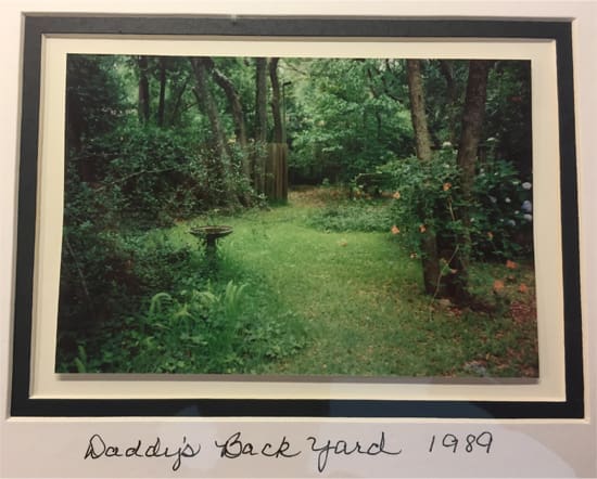 Daddy's backyard, 1989.