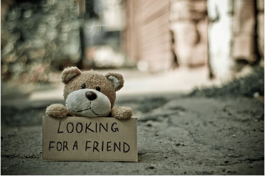 Lonely teddy bear seeks friend.